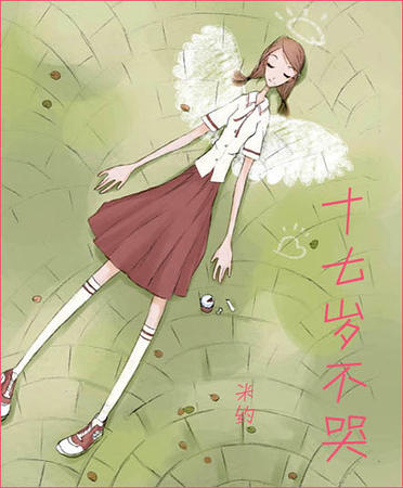 ʮ���겻��