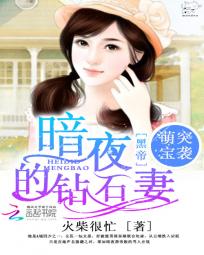 �ȱ�ͻϮ����ҹ�ڵ۵���ʯ��