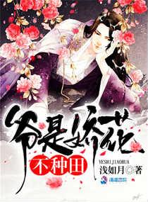 ү�ǽ����������