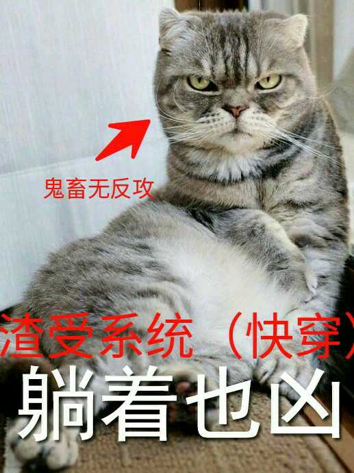 ����ϵͳ[�촩]