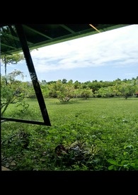 �ҵ���һ�ֲ�