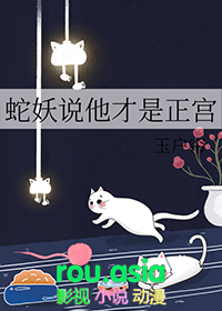 ����˵����������