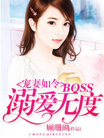 BOSS簮޶