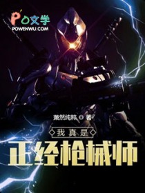 ����������ǹеʦ