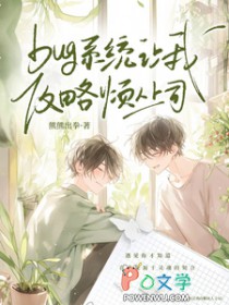 bugϵͳ���ҹ��Է�����˾