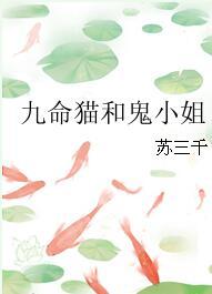 ����è�͹�С��