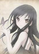 ����֮��(������)