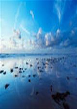 ��ҵ�ǰ�����ҵĺ����