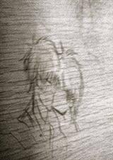 ���ڵ���������