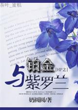 HP֮������������